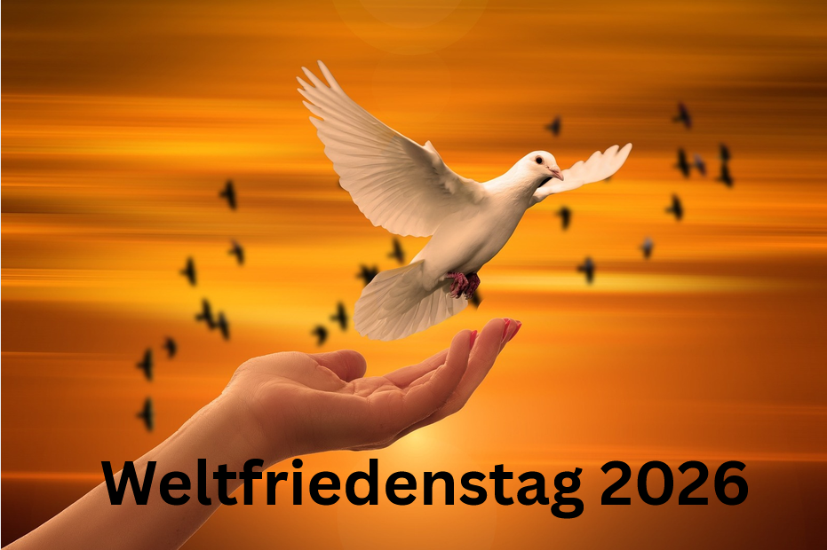 Taube die aus der offenen Hand in eine Morgenröte fliegt